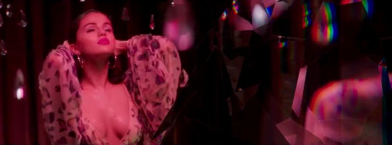 Selena Gomez nude (10)
