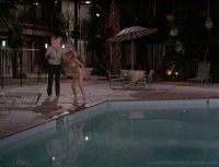 bM10153-BeverlyDAngelo_Vacation-2_1.jpg