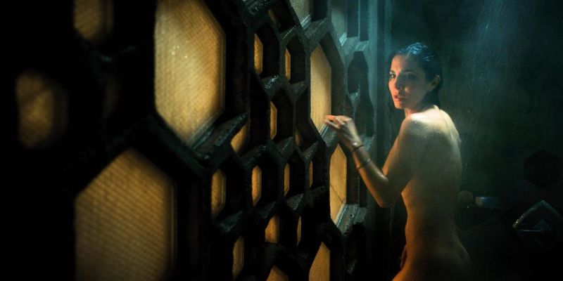Martha Higareda Nude (13)
