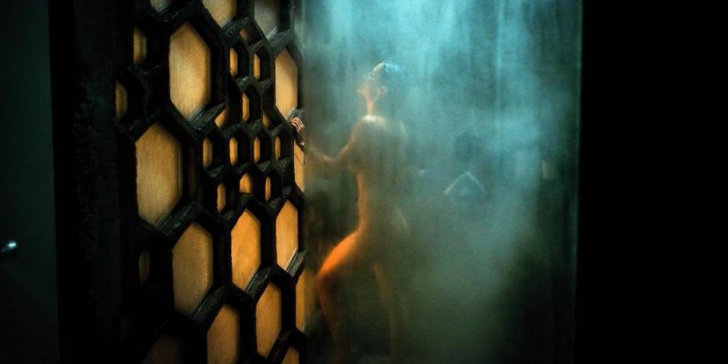 Martha Higareda Nude (14)
