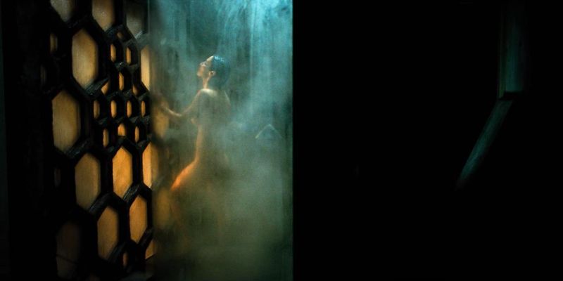 Martha Higareda Nude (15)
