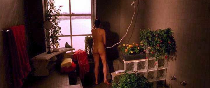 Neve Campbell nude (1)
