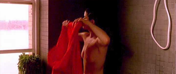 Neve Campbell nude (5)

