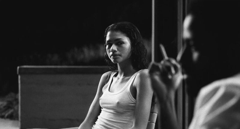 Zendaya nude (10)

